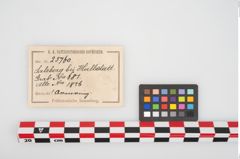 Etikett zu Bronzeknotenarmreif (NHMW-PRAE-025760)